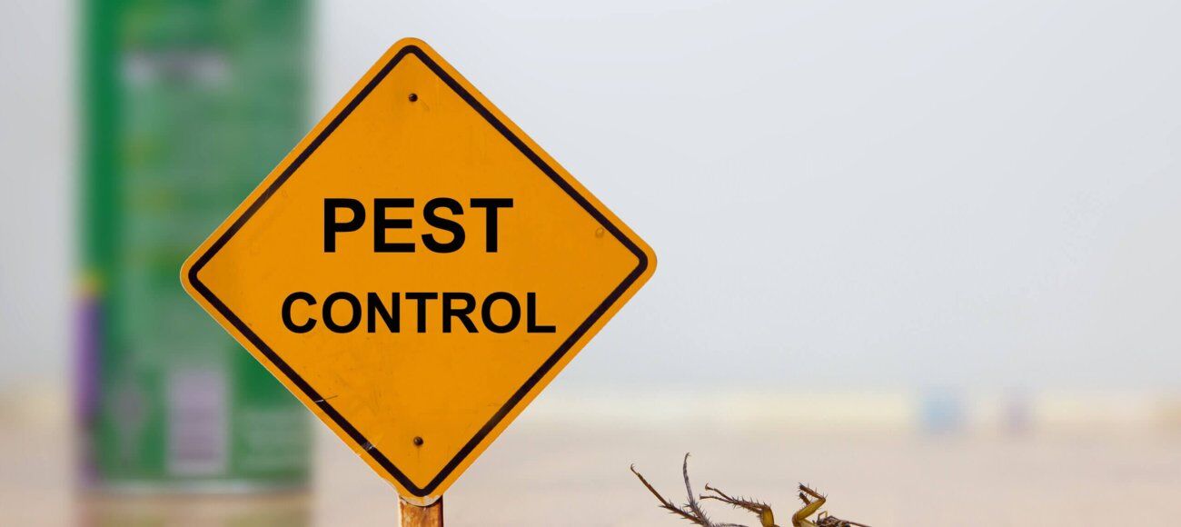 The Ultimate Guide to Choosing Cockroach Control Products