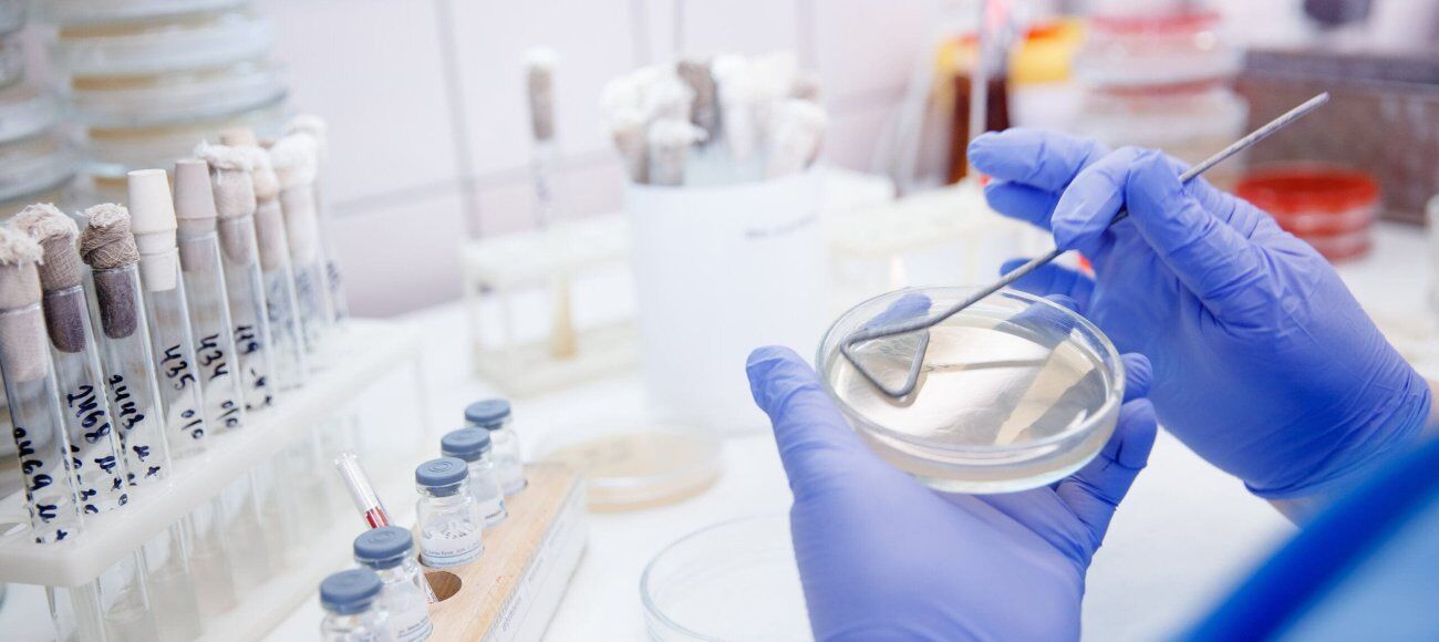 Navigating Regulatory Requirements for Antibacterial Efficacy Testing