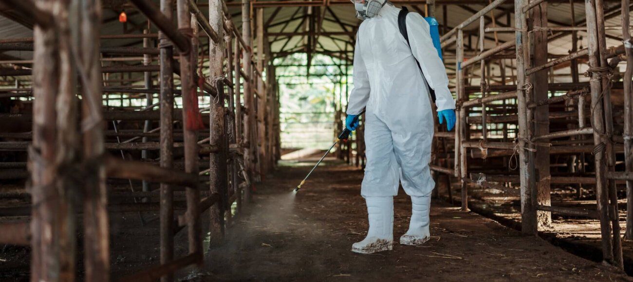 How can Disinfectants Prevent Zoonotic Diseases?