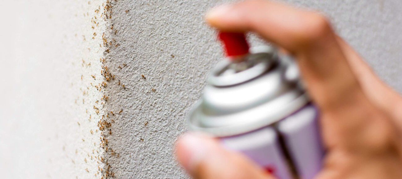 Future Directions in Ant Control: Beyond Chemical Biocides